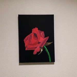 Rose wall art hand painted